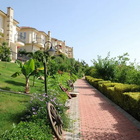 Gold 1 Bedroom אלאניה
